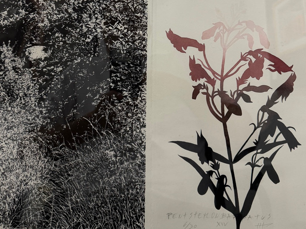 Jan Hendrix "Drawing the distance"