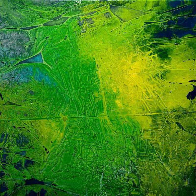 José Pellegrín Romero "Sin titulo"