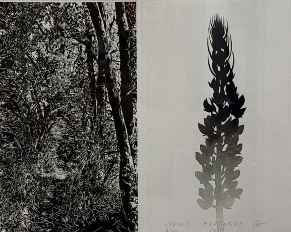 Jan Hendrix "Drawing the distance"