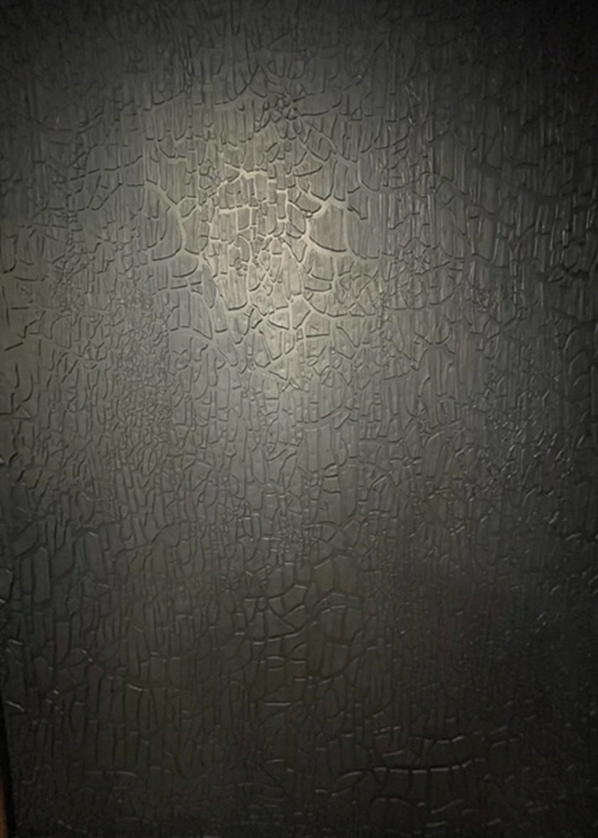 Beatriz Zamora "El negro 3483"