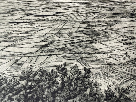 Nicolas Moreno "Desde el cerro de la cruz, Ecatepec"