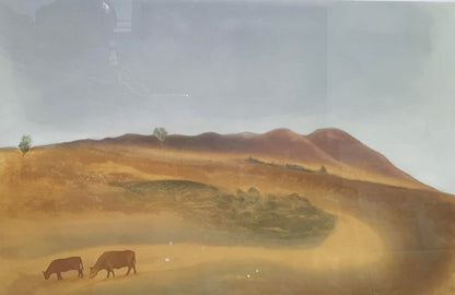 Luis Nishizawa  "Calderones de Guanajuato"