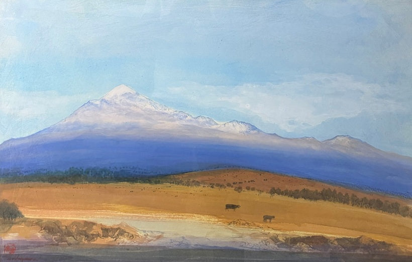 Luis Nishizawa "El pico de Orizaba, 1996"