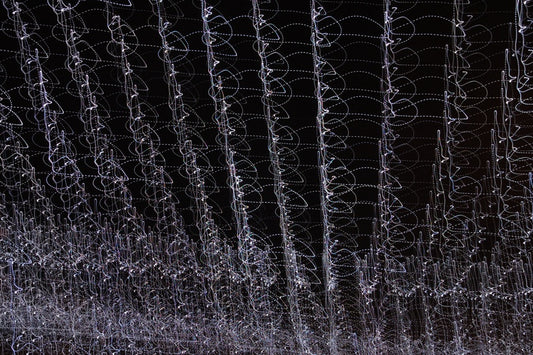 Israel Alvarado "Enjambre de luz"