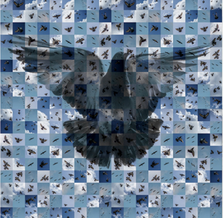 Marko Eskalante "Y la dejaste volar II"