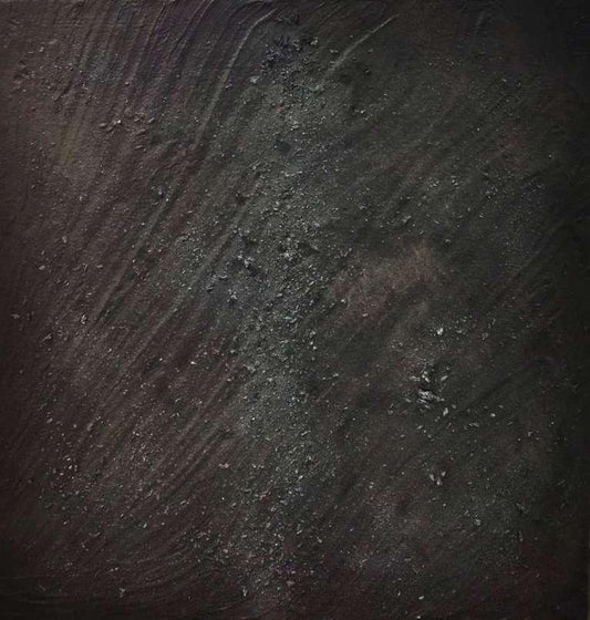 LOTE 16-Beatriz Zamora "El negro #2691"
