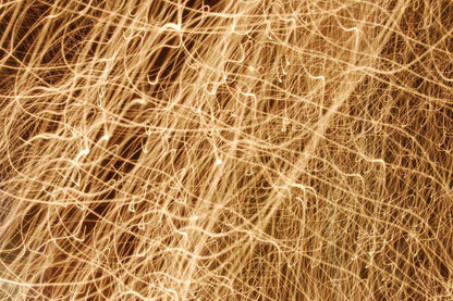 Israel Alvarado "Existencia"