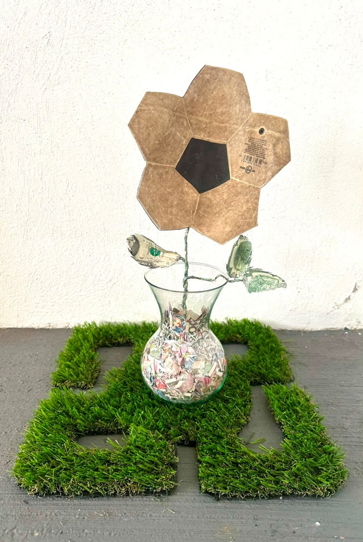 Gabriela Leal "Flor de cancha VI"