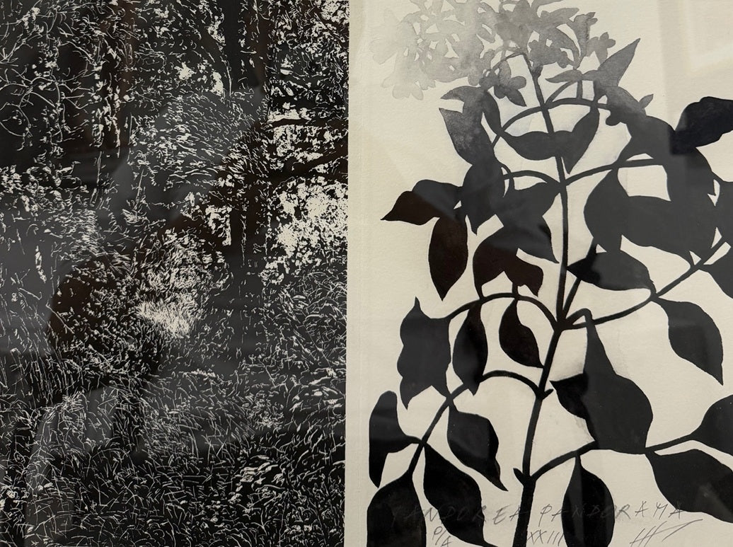 Jan Hendrix "Drawing the distance"