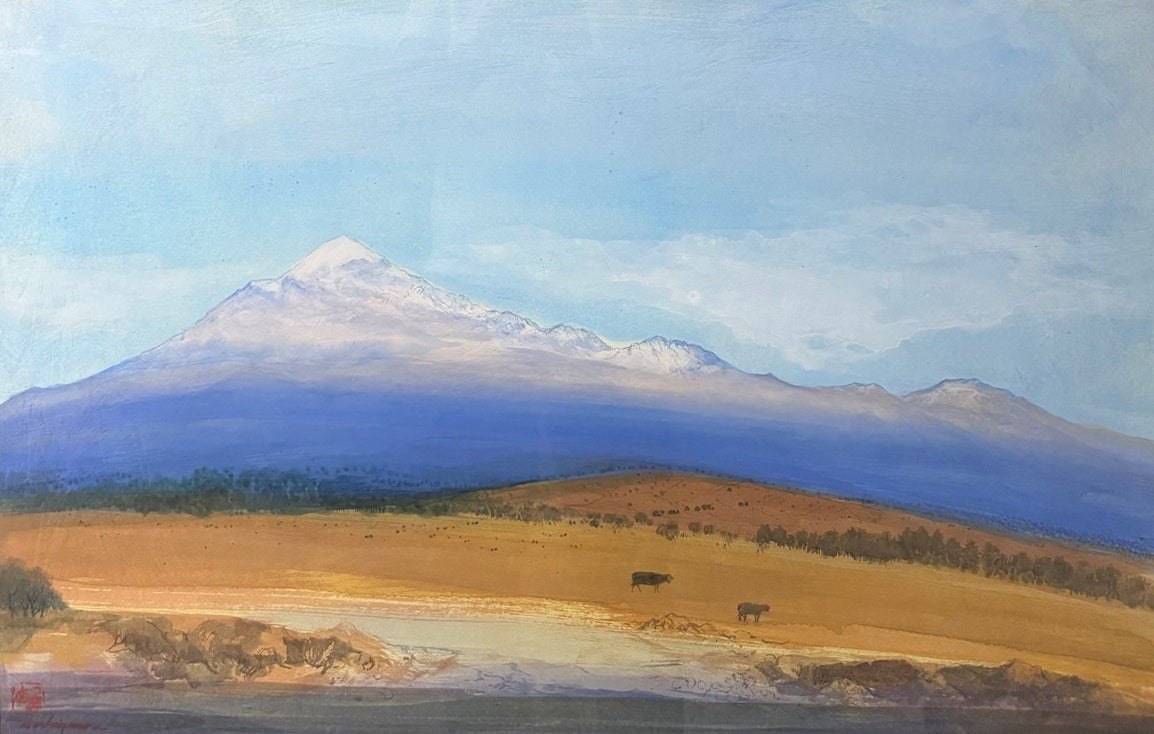 Lote 222 El pico de Orizaba, 1996 - Luis Nishizawa