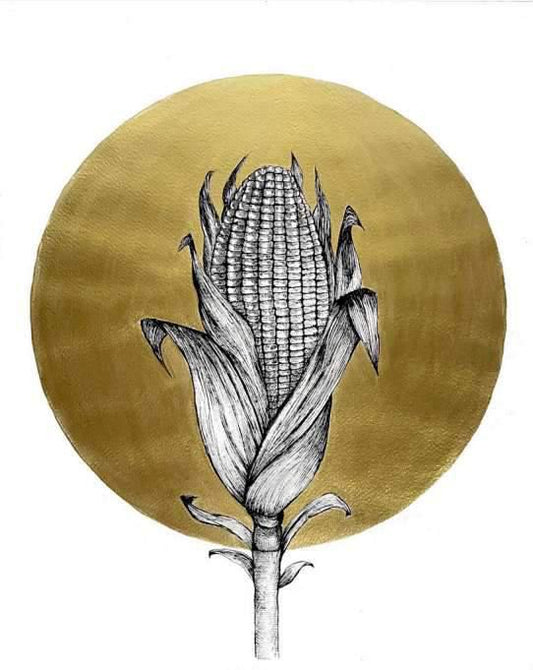 Natalia Mustafá "Plantas sagradas (maíz)"