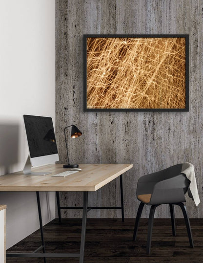 Israel Alvarado "Existencia"