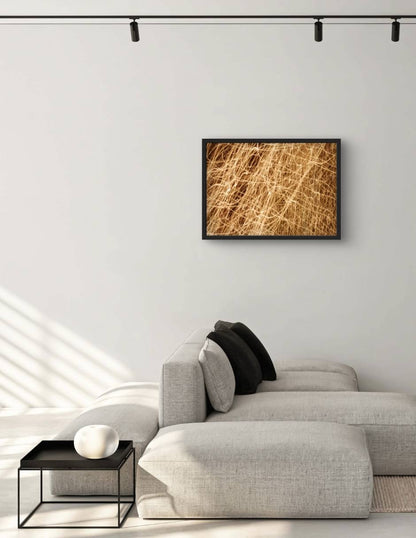 Israel Alvarado "Existencia"