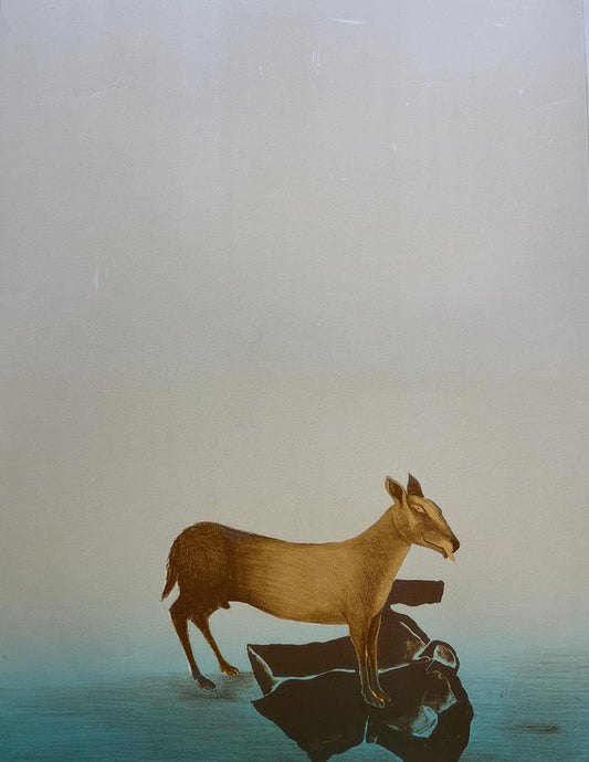 LOTE 18- Animal y camisa; Francisco Toledo