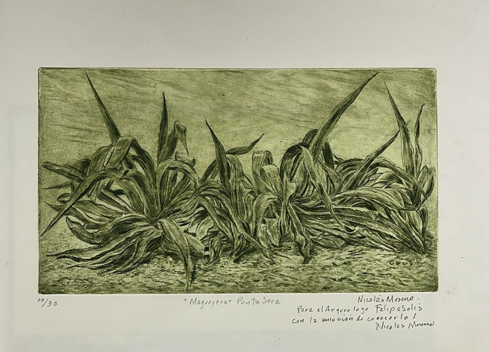 Nicolas Moreno "Magueyera"