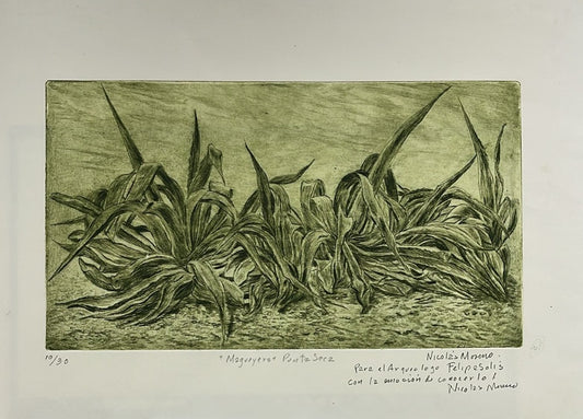 Nicolas Moreno "Magueyera"