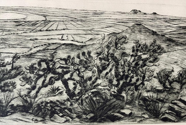 Nicolas Moreno "Desde el cerro de la cruz, Ecatepec"