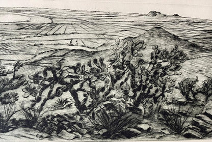 Nicolas Moreno "Desde el cerro de la cruz, Ecatepec"