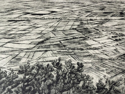 Nicolas Moreno "Desde el cerro de la cruz, Ecatepec"